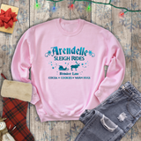 Arendelle Aqua Sleigh Rides Frozen Sweatshirt/ Disney Frozen Sven Shirt/ Christmas Holiday Fleece Sweater