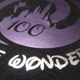 Disney 100th Anniversary Shirts/ Minnie Mouse Cinderella Castle And Tinkerbell Purple Metallic Platinum Silver Years Of Wonder T-Shirts