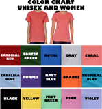 Christmas Disney Frozen Shirts/ Arendelle Aqua Sleigh Rides T-Shirts/ Sven Snowflakes Winter Holiday Party Top Christmas Gift