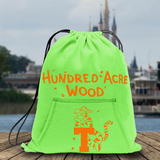 Disney Winnie The Pooh Backpack/ Hundred Acre Wood Tigger Fleece Tote Park Bag